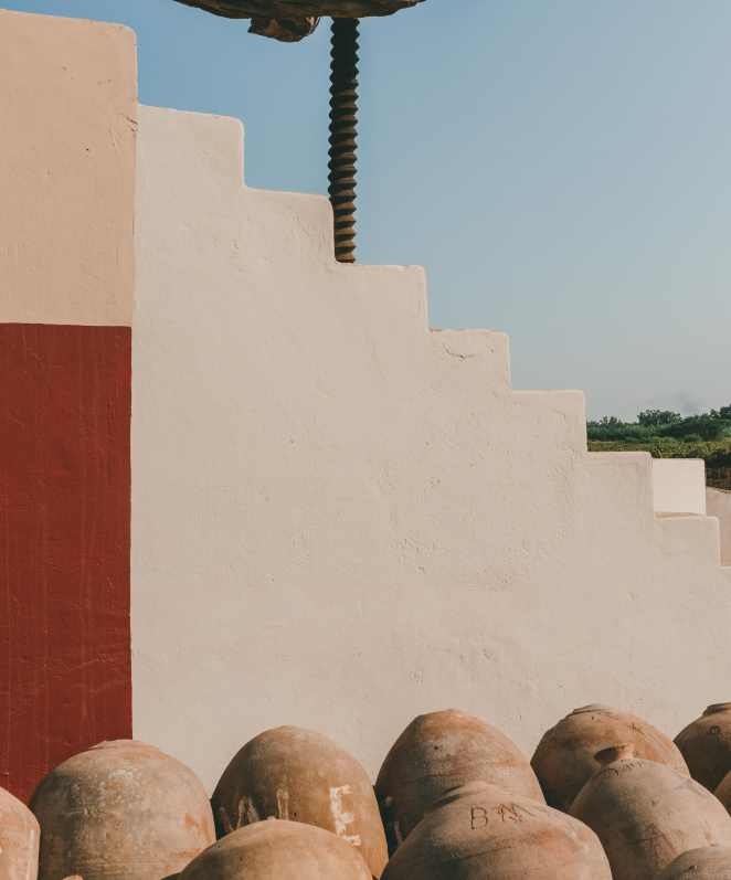 El origen de nuestro nombre